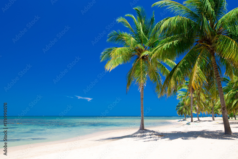 Obraz premium beach and tropical sea