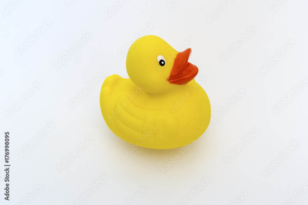 Fototapeta premium Konewka na białym tle