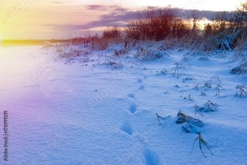 Winter  snowflake cristmas landscape.