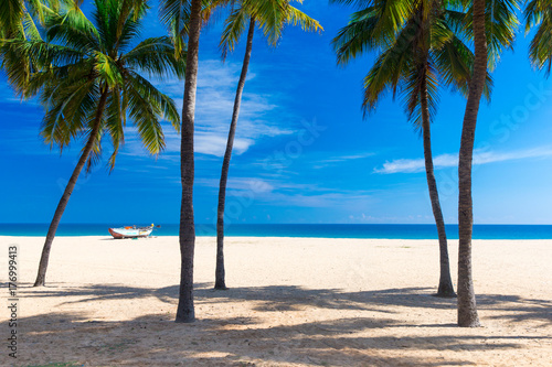 beach and tropical sea