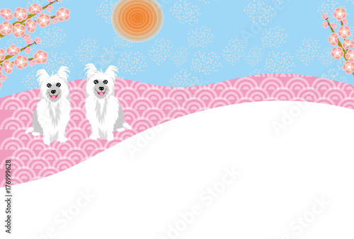 可愛い白い二匹の犬と梅の花のイラストのメッセージカード Stock Illustration Adobe Stock