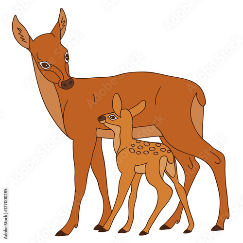 Vector Cute Cartoon Deers