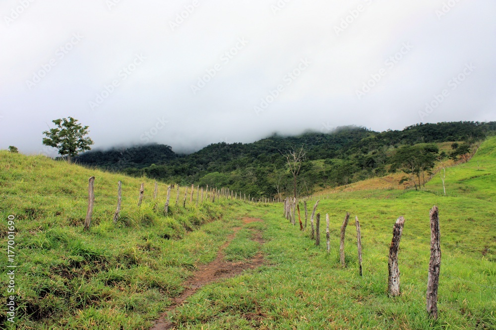 Fototapeta premium road between two farm fields in Venezuela