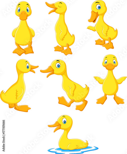 Cartoon baby duck collection set