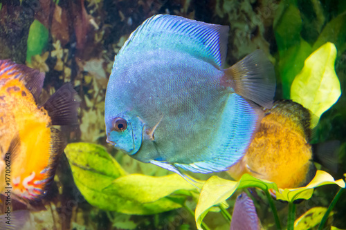 Moscow Aquarium