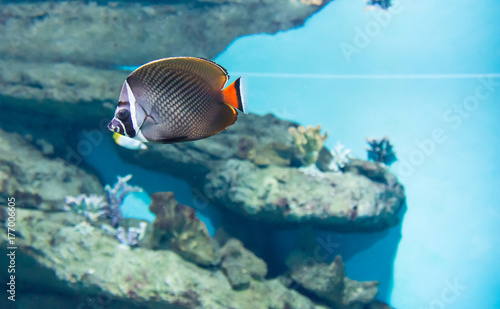 Photography Moscow Aquarium