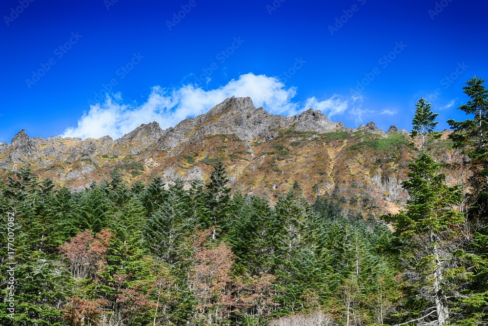 Obraz premium 八ヶ岳連峰横岳 