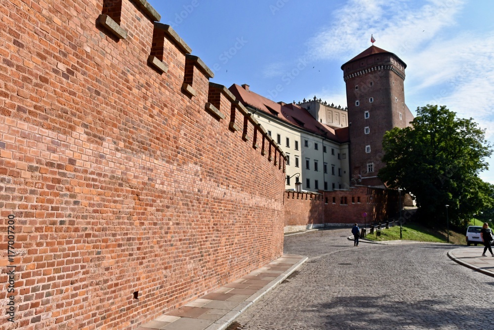ポーランド　ヴァヴェル城　バベル城　クラクフ　世界遺産　Poland Wawel Royal Castle Kraków Krakow World Heritage Zamek Królewski na Wawelu Polska