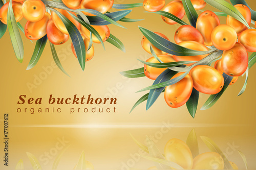 Sea buckthorn. The concept of realistic image of plants and berry. Natural ingredient element, golden background 3d illustration.