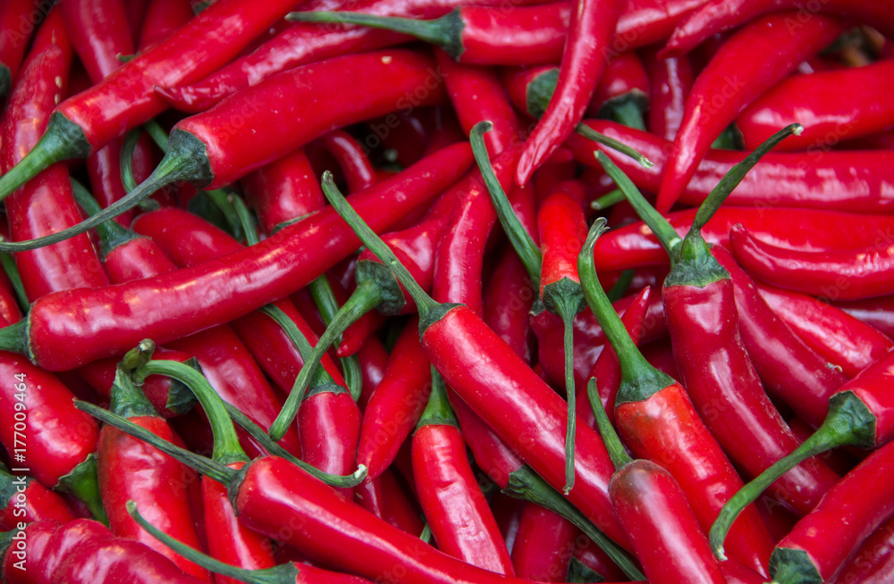 Red chili pepper as a background