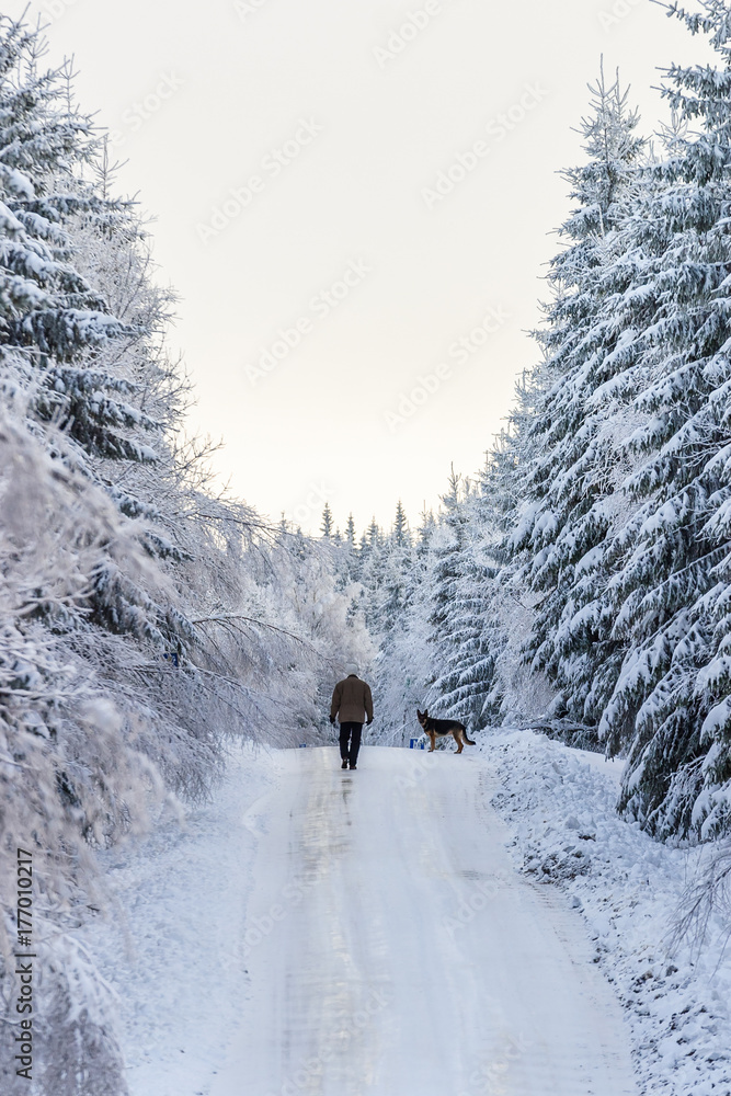 Man walking with his dog on a winter road in the woodland
