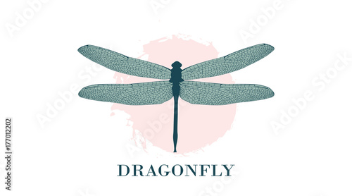 Dragonfly Logo Design Template. A colorful dragonfly on a background of pastel splashes, watercolor stains. Fashionable illustration isolated on white. For label, badge, emblem, sign, identity.