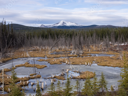 Frozen Landscape, Yukon 3