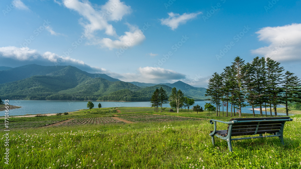 Wooden Bench And Lake Mountain View