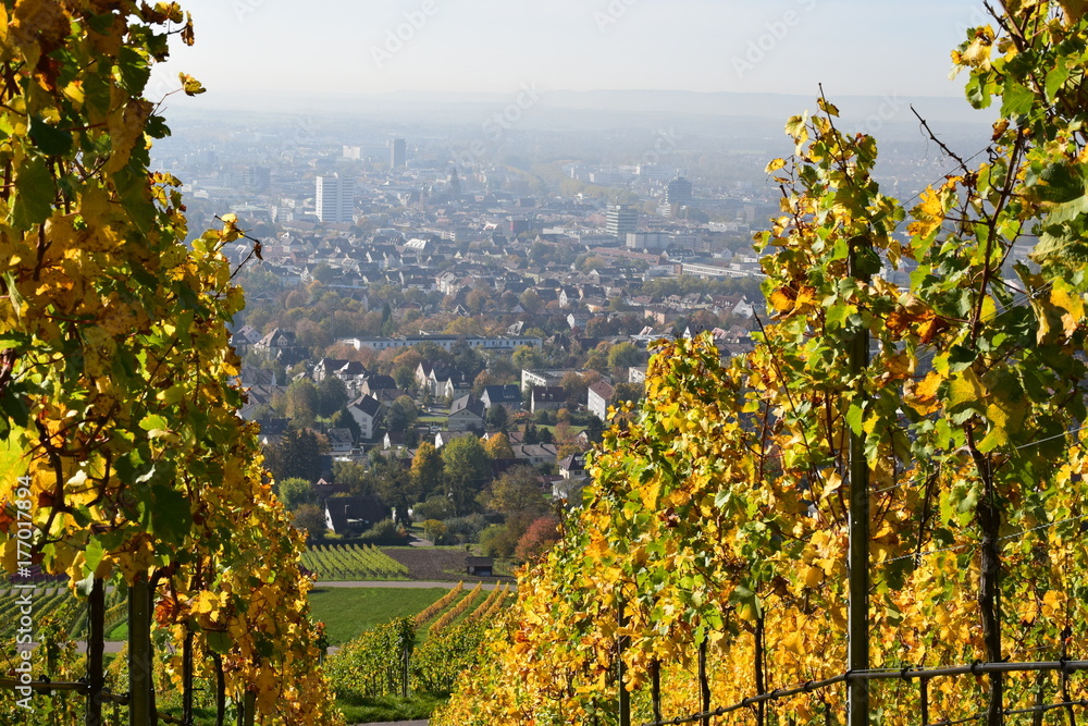 Fototapeta premium Blick vom Wartberg auf Heilbronn im Herbst mit Weinlaub