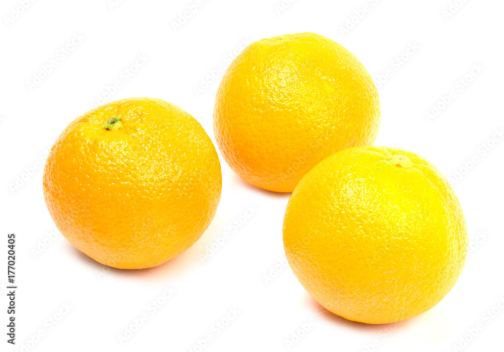 Oranges isolated on white background Oranges isolated on white background