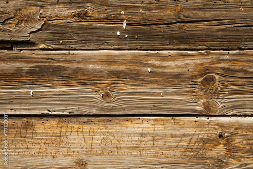 Wood grain background texture plank, old striped timber board.