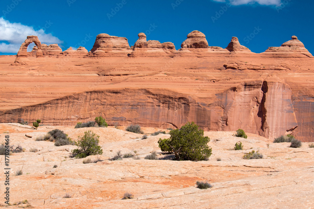 Fototapeta premium arches national park in utah Delicate-Arch