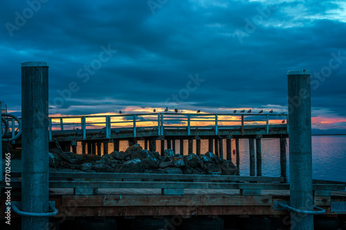 Seaguls on Dock with Sunset Background photo