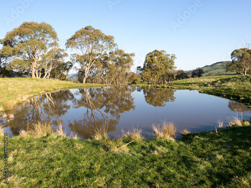 Reflections in the dam