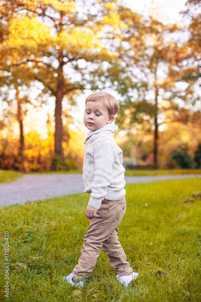 A cute little boy of 3 years walks in the autumn park. Warm autumn. Red leaves. A boy in a knitted jumper.Littel boy. A cute little boy of 3 years walks in the autumn park. Warm autumn. Red leaves. A boy in a knitted jumper.Littel boy.