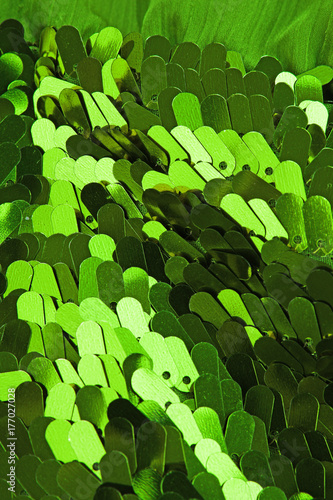 Fashion designer fabric cloth material closeup texture pattern photo