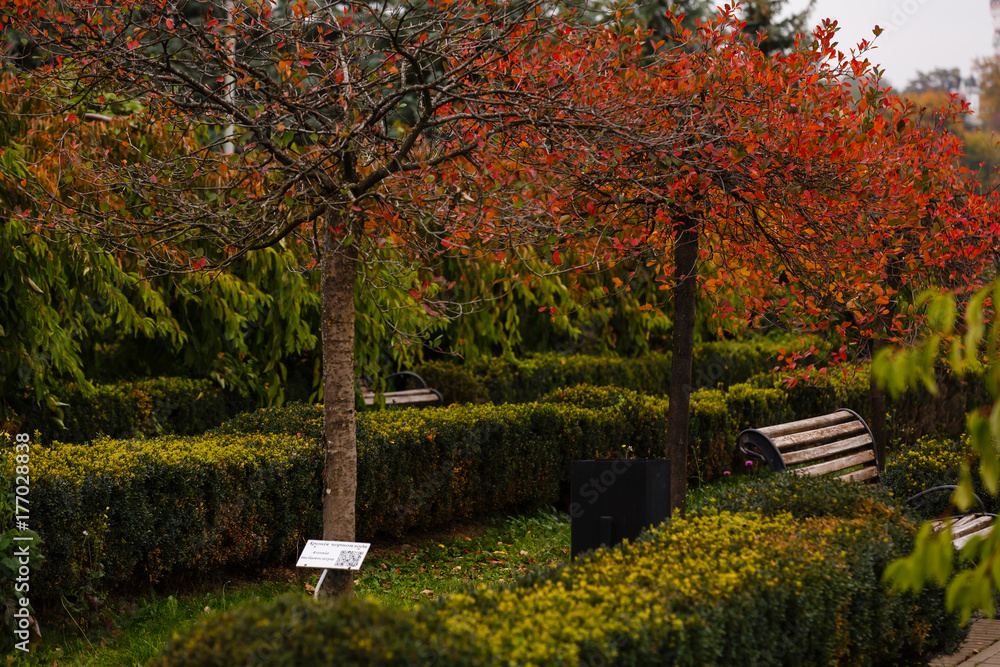 Benches stand in the autumn park during the day