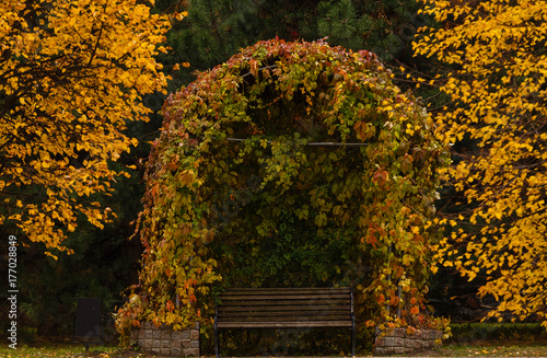 Arbor in a beautiful park in autumn photo