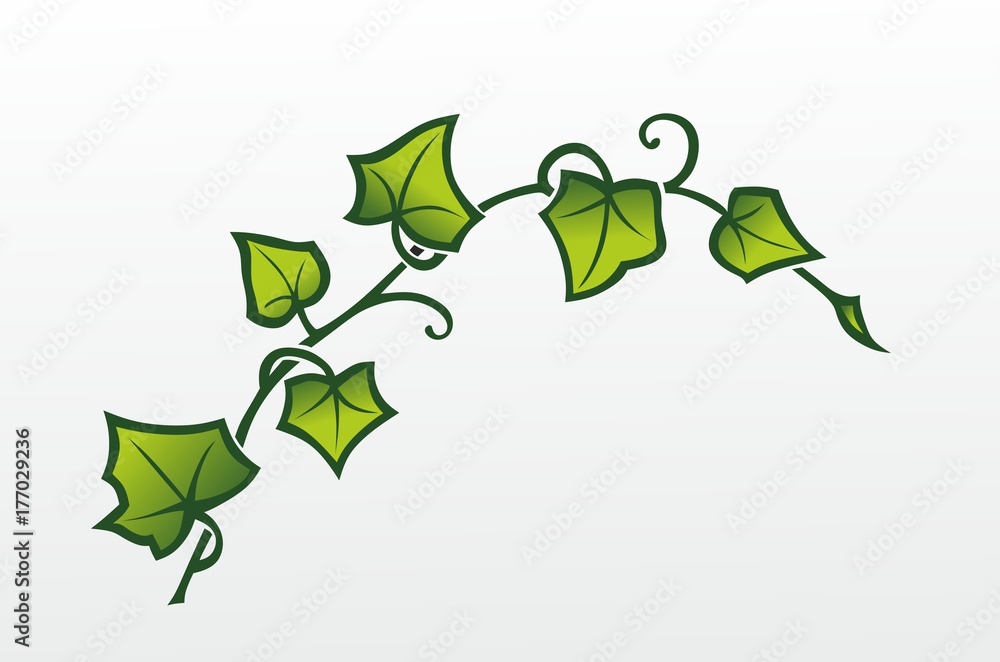Efeu1710b Stock-Vektorgrafik | Adobe Stock