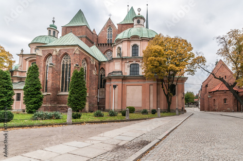 Cathedral of St. John the Baptist in Wroclaw (Poland)