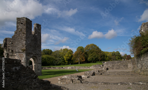 Mellifont Abbey photo