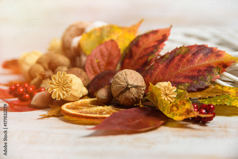 Autumn composition with nuts, peanuts, red berries, dry orange slices and dry poppy heads on rustic wooden table. Autumn harvest concept. fall flat lay with copy space Autumn composition with nuts, peanuts, red berries, dry orange slices and dry poppy heads on rustic wooden table. Autumn harvest concept. fall flat lay with copy space