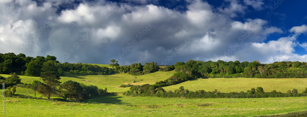 Obraz premium Panoramic view of the landscape with green meadows and a beautiful sky. The Devon Coast near the beach and Branscombe village. Devon. England