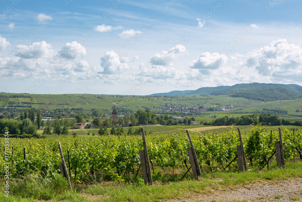 Fototapeta premium Rhine valley palatinate