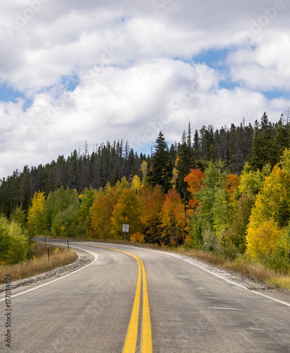 fall colors road