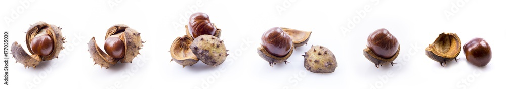 Chestnut collection in the skin - Isolated on white background, close up view Chestnut collection in the skin - Isolated on white background, close up view