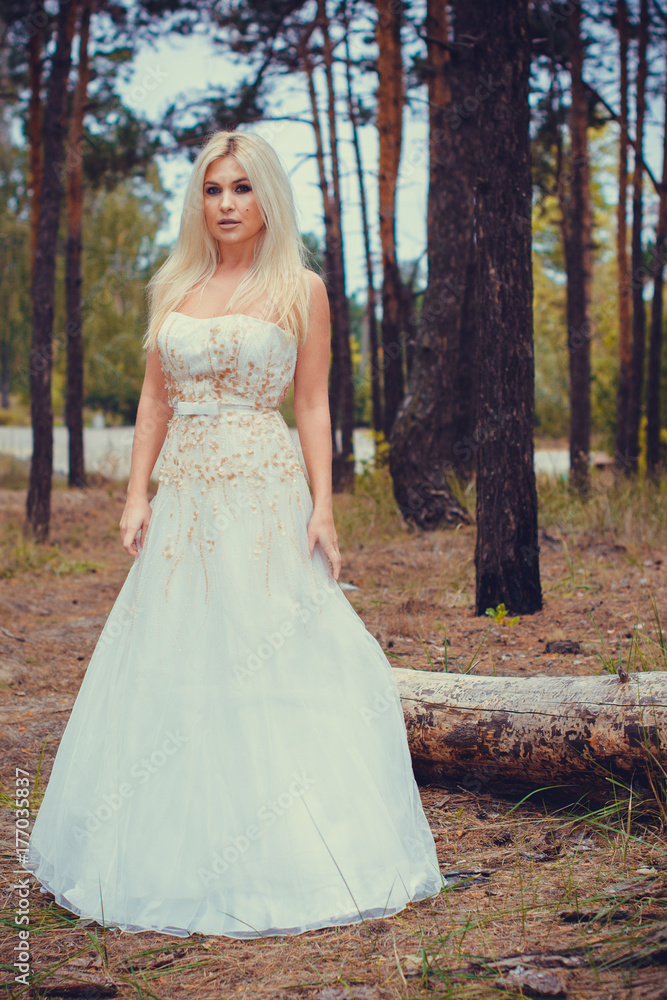 Romantic tender bride in a white dress in the forest. The concept of a wedding in a rustic style. Beauty of the bride in combination with forest and nature, wedding fashion and dress elements