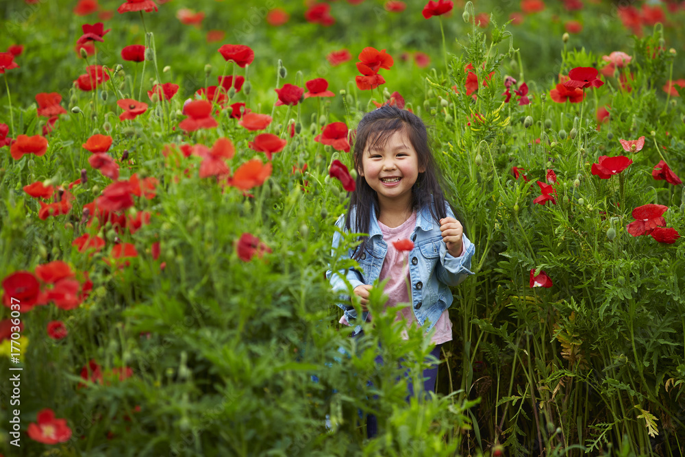 one lovely little asian girl in poppy field one lovely little asian girl in poppy field