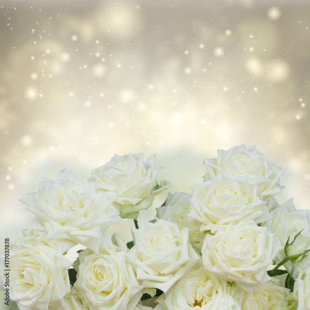 Obraz premium Bunch of white blooming fresh rose flowers over silver shining background