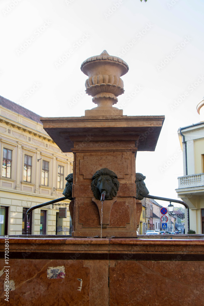Obraz premium Fountain