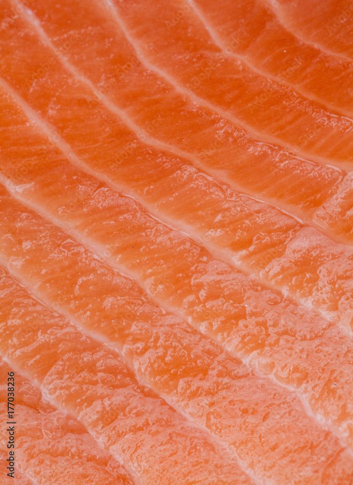 Macro study of the texture of a Salmon side Macro study of the texture of a Salmon side