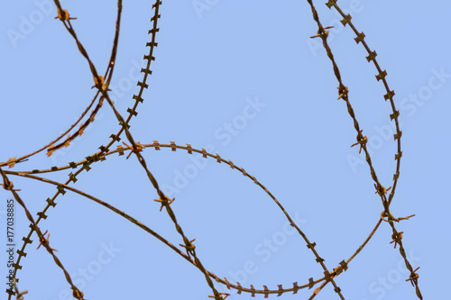 barbed wire detail