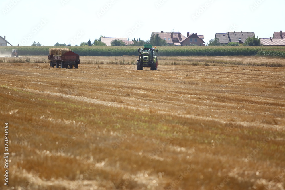 Obraz premium Working in the field, gathering straw after the harvest.