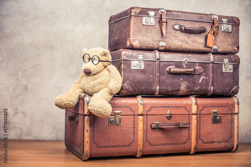 big round teddy bear