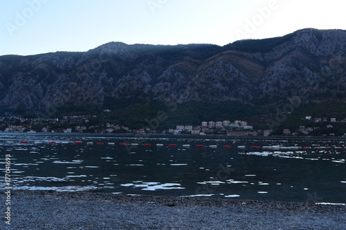 Kotor, Cottaro