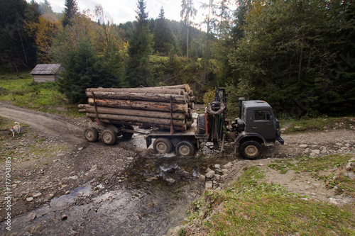 tree felling in charpatians forest, cut down pines in mountains, destroyed forest ,natural disaster, ecology problems 