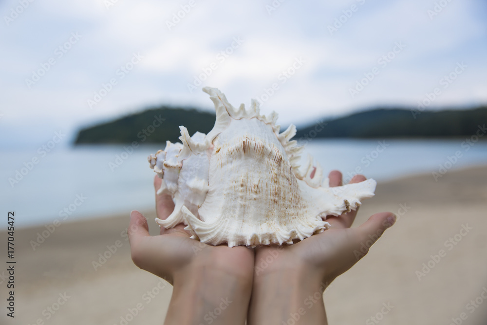 Seashell in hand on a background of sea beach Seashell in hand on a background of sea beach