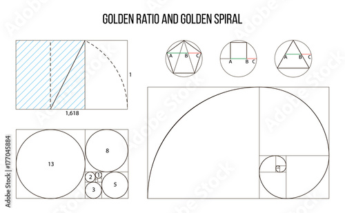 golden ratio template vector, Divine Proportions, Golden Proportion