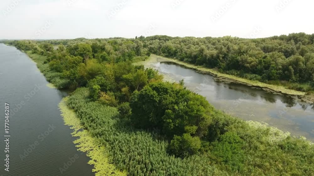 An exciting bird`s eye view of two inflows and a small islet covered with wetland and high green trees in the Dnipro basin in summer. The landscape looks wild and natural. The skyscape is great An exciting bird`s eye view of two inflows and a small islet covered with wetland and high green trees in the Dnipro basin in summer. The landscape looks wild and natural. The skyscape is great