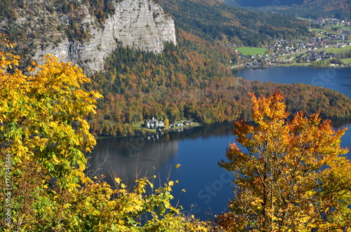 Fototapeta Naklejka Na Ścianę i Meble -  Hallstätter See durch Herbstblätter